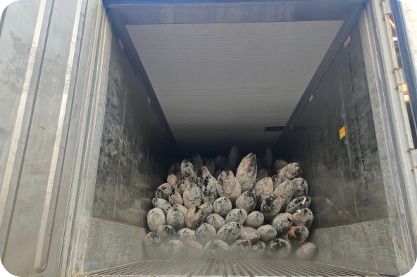 slider-image-reefer-05